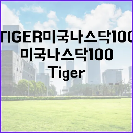 TIGER미국나스닥100을 볼 때 놓치기 쉬운 5가지 판단 기준 - 요약