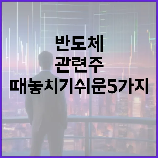 반도체관련주를 볼 때 놓치기 쉬운 5가지 변수 - 요약