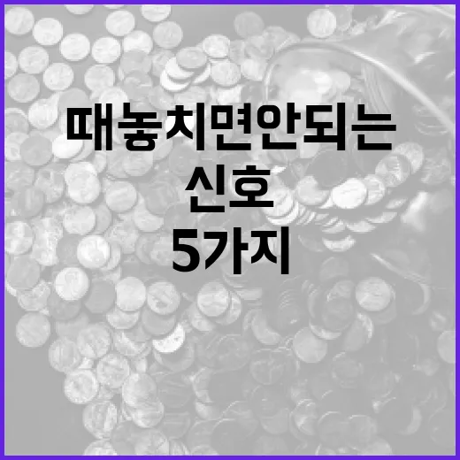 위안환율을 읽을 때 놓치면 안 되는 5가지 신호 - 요약