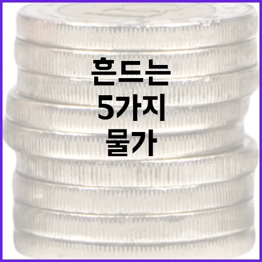 부가세가 현금흐름과 물가를 흔드는 5가지 지점 - 요약