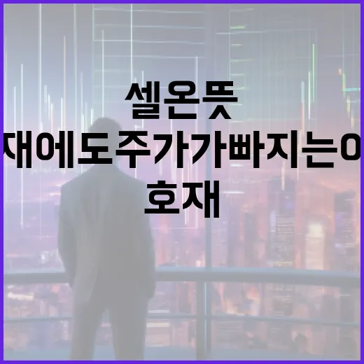 셀온 뜻을 이해하는 5가지 포인트: 호재에도 주가가 빠지는 이유 - 요약