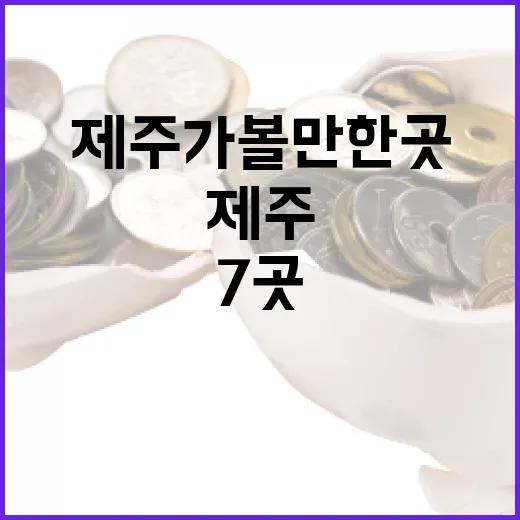 제주가볼만한곳 7곳, 동선과 날씨로 고르는 현실적인 기준 - 요약