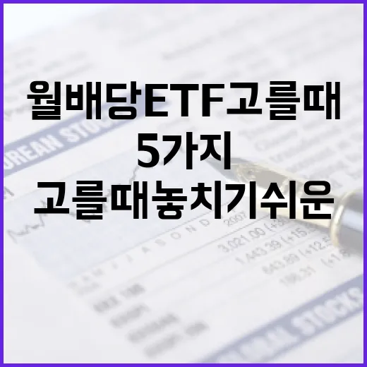 월배당ETF 고를 때 놓치기 쉬운 5가지 체크포인트 - 요약