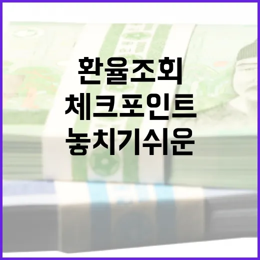 환율조회할 때 놓치기 쉬운 5가지 체크포인트 - 요약