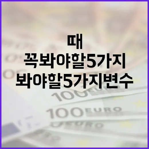 엔화를 판단할 때 꼭 봐야 할 5가지 변수 - 요약