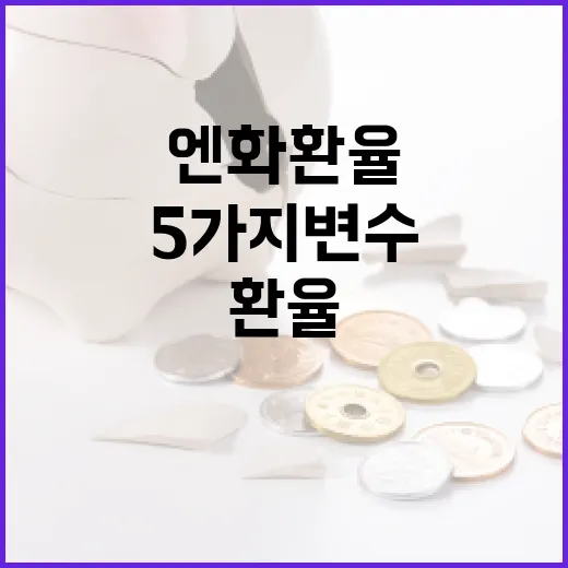 엔화환율을 움직이는 5가지 변수와 원화 투자자가 볼 지점 - 요약