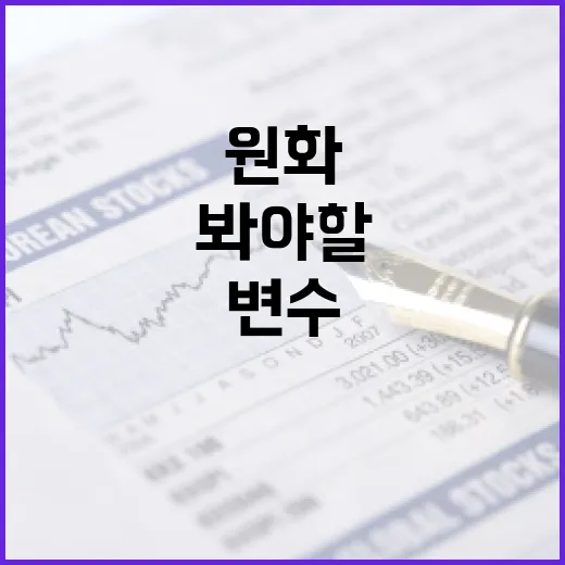 유로환율을 움직이는 5가지 변수와 원화 투자자가 봐야 할 기준 - 요약