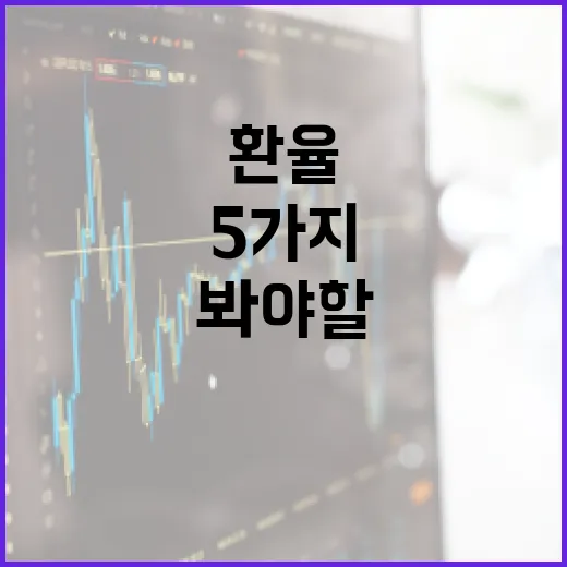 베트남환율을 판단할 때 봐야 할 5가지 숫자 - 요약
