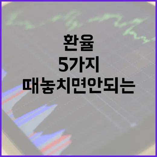 미국환율을 볼 때 놓치면 안 되는 5가지 변수 - 요약
