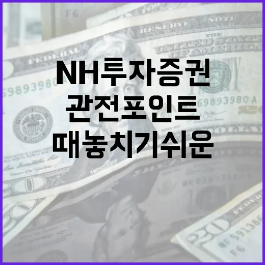 NH투자증권을 볼 때 놓치기 쉬운 5가지 관전 포인트 - 요약