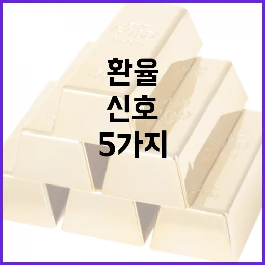 실시간환율을 볼 때 놓치기 쉬운 5가지 신호 - 요약