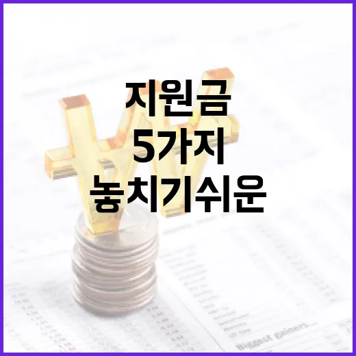 소상공인지원금 볼 때 놓치기 쉬운 5가지 판단 기준 - 요약