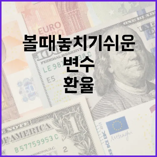 대만환율을 볼 때 놓치기 쉬운 5가지 변수 - 요약