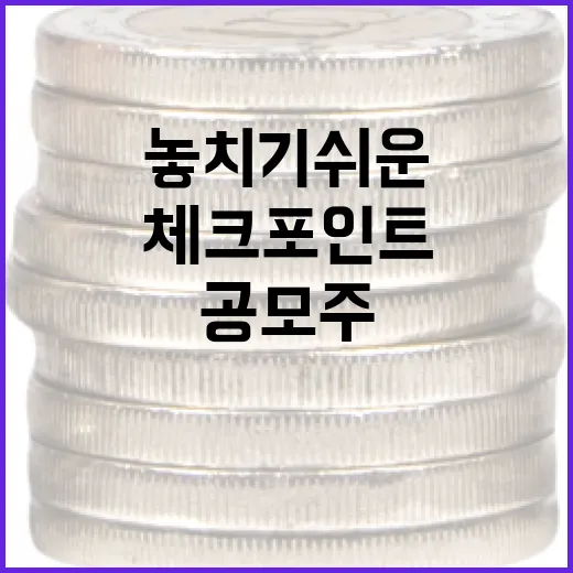 공모주일정 볼 때 놓치기 쉬운 5가지 체크포인트 - 요약
