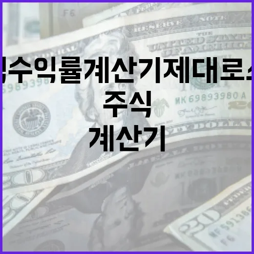 주식수익률계산기 제대로 쓰는 5가지 기준 - 요약