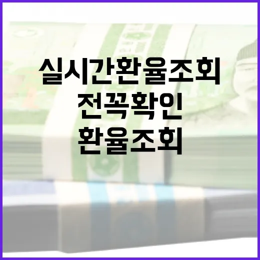 실시간환율조회 전 꼭 확인해야 할 5가지 기준 - 요약