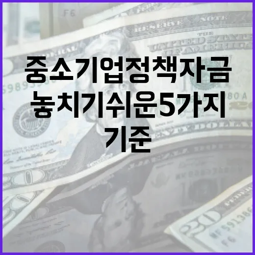 중소기업정책자금 볼 때 놓치기 쉬운 5가지 판단 기준 - 요약