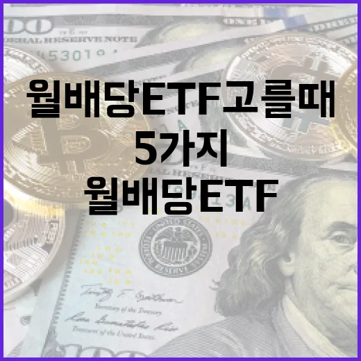 월배당ETF 고를 때 먼저 보는 5가지 기준 - 요약