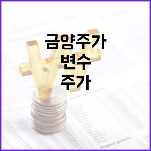 금양주가를 볼 때 먼저 확인할 5가지 변수 - 요약