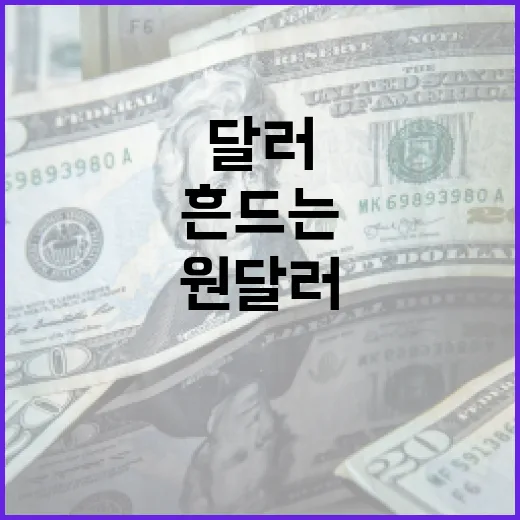 환율전망을 흔드는 4가지 변수와 원달러 시나리오 - 요약
