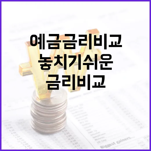 예금금리비교할 때 놓치기 쉬운 5가지 기준 - 요약