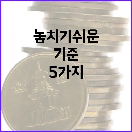 금주식 볼 때 놓치기 쉬운 5가지 기준 - 요약