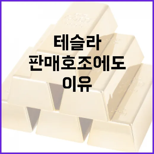 테슬라주식이 판매 호조에도 흔들리는 4가지 이유 - 요약