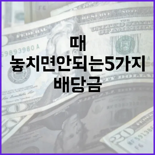 배당금 볼 때 놓치면 안 되는 5가지 숫자 - 요약