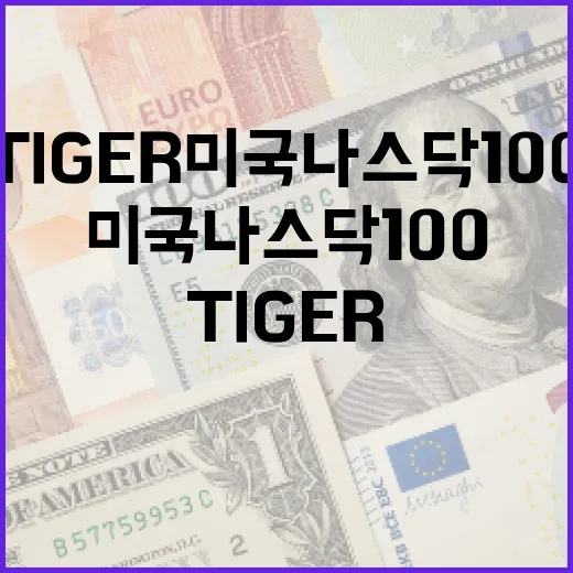 TIGER미국나스닥100을 볼 때 놓치기 쉬운 5가지 변수 - 요약