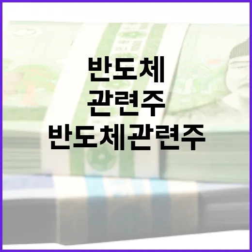 반도체관련주를 볼 때 놓치기 쉬운 5가지 변수 - 요약