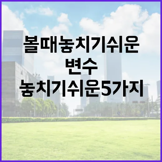 금양주가를 볼 때 놓치기 쉬운 5가지 변수 - 요약