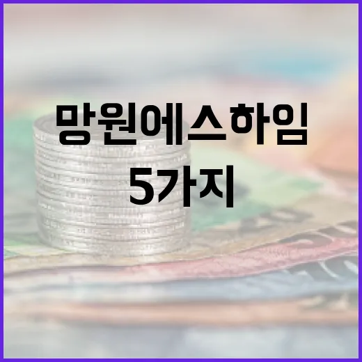 망원 에스하임을 볼 때 확인할 5가지 가격 변수 - 요약