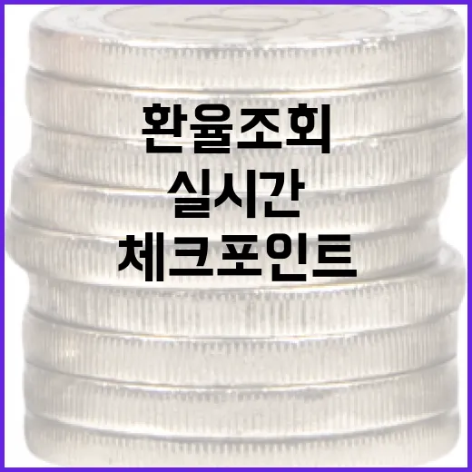 실시간환율조회 전 꼭 보는 5가지 체크포인트 - 요약