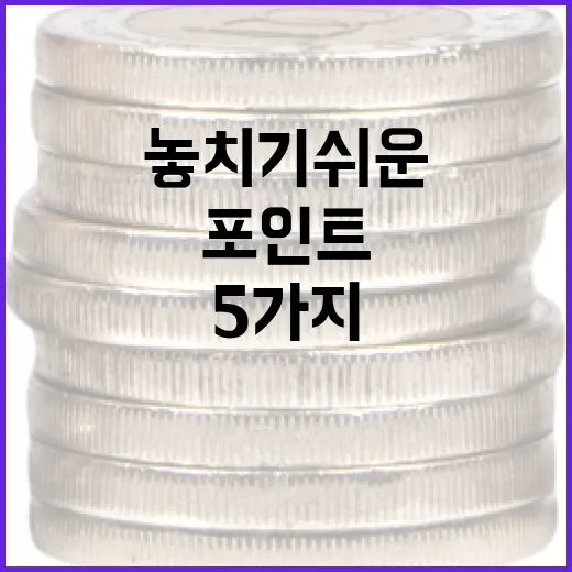 종합소득세를 볼 때 놓치기 쉬운 5가지 현금흐름 포인트 - 요약