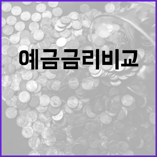 예금금리비교 전에 꼭 보는 5가지 기준 - 요약