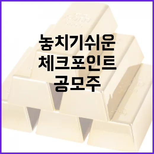 공모주일정 볼 때 놓치기 쉬운 5가지 체크포인트 - 요약