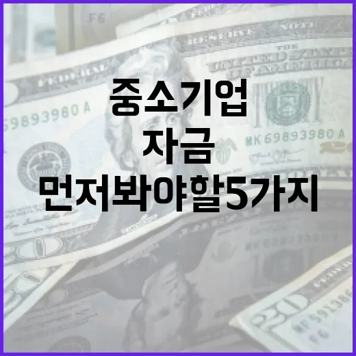 중소기업정책자금 판단할 때 먼저 봐야 할 5가지 숫자 - 요약