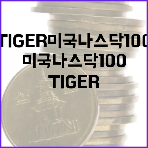 TIGER미국나스닥100을 볼 때 놓치기 쉬운 5가지 판단 기준 - 요약