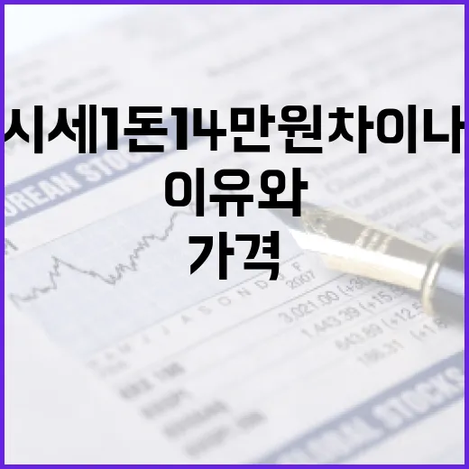금시세 1돈 14만 원 차이 나는 5가지 이유와 가격 확인법 - 요약