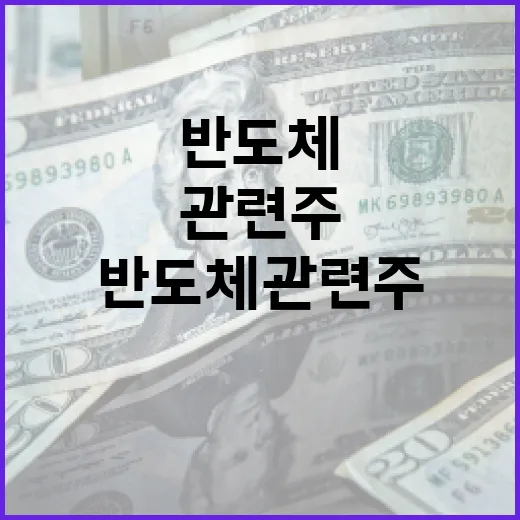 반도체관련주를 볼 때 놓치기 쉬운 5가지 변수 - 요약