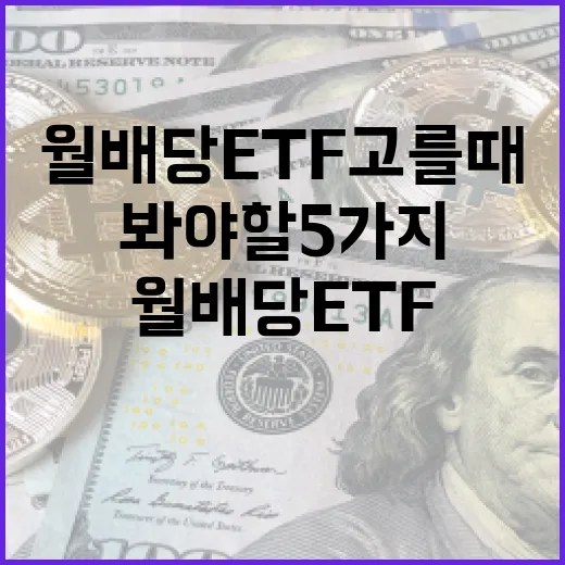 월배당ETF 고를 때 꼭 봐야 할 5가지 기준 - 요약
