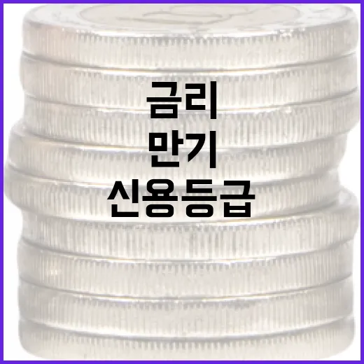 채권투자방법 5단계: 금리·만기·신용등급으로 보는 현실적인 접근 - 요약