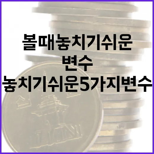 금양주가를 볼 때 놓치기 쉬운 5가지 변수 - 요약