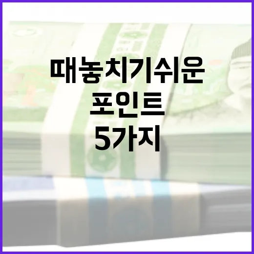 사모펀드를 볼 때 놓치기 쉬운 5가지 포인트 - 요약