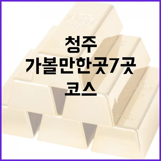 청주가볼만한곳 7곳, 하루 코스로 보는 동선과 선택 기준 - 요약
