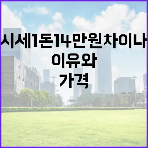금시세 1돈 14만 원 차이 나는 5가지 이유와 가격 확인법 - 요약