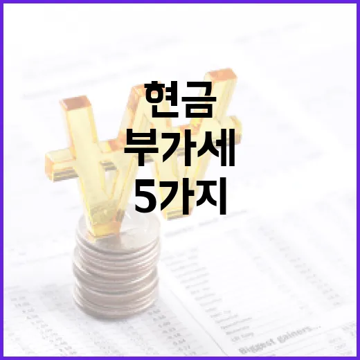 부가세를 보면 사업 현금흐름이 보이는 5가지 포인트 - 요약