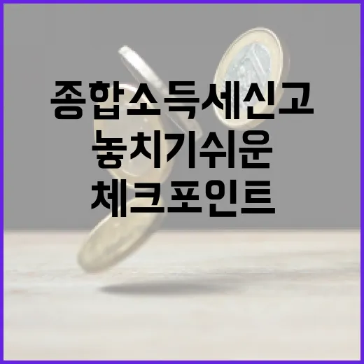 종합소득세신고기간 놓치기 쉬운 5가지 체크포인트 - 요약