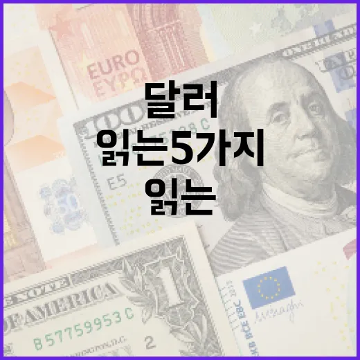 달러가 움직일 때 시장을 읽는 5가지 관찰 포인트 - 요약