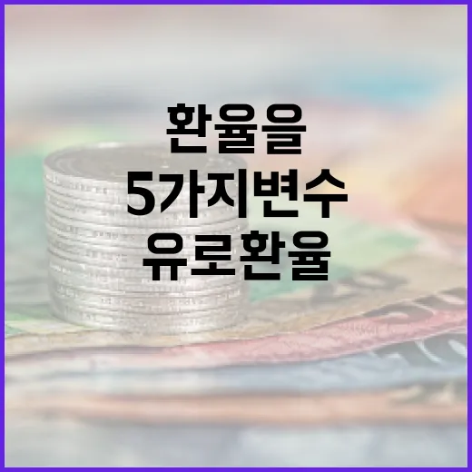 유로 환율을 움직이는 5가지 변수 - 요약
